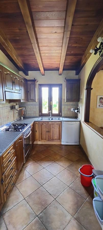 B&B Camera Delle Camelie Palestrina Extérieur photo