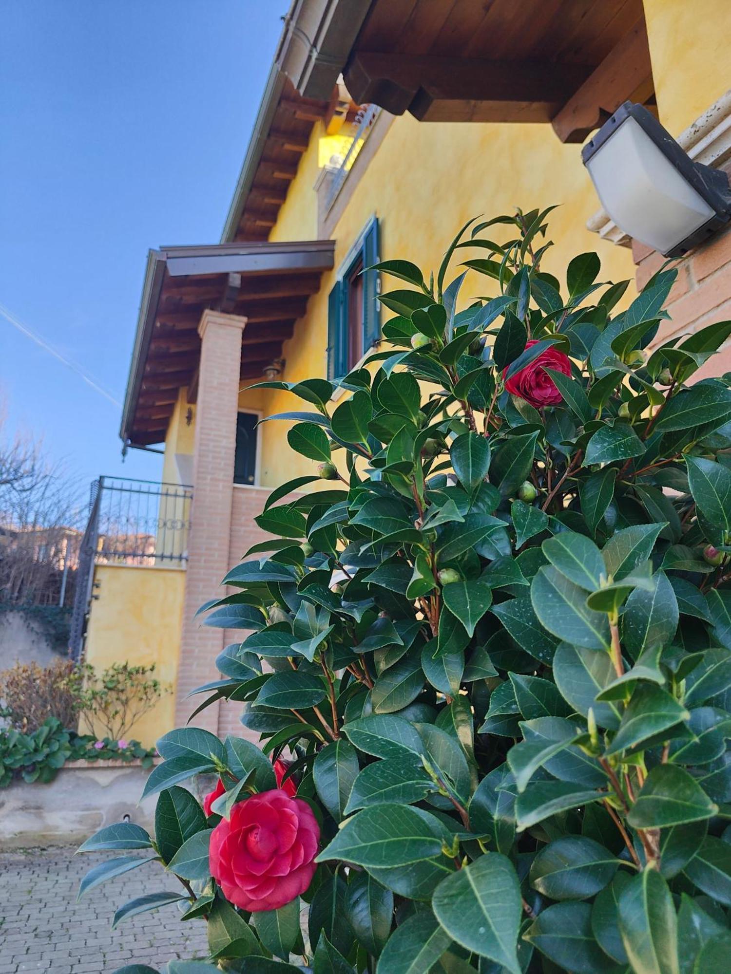 B&B Camera Delle Camelie Palestrina Extérieur photo